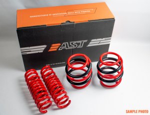 Jaguar XJ Type Lowering Springs - AST 