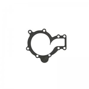 Jaguar XK6 Water Pump Repair Kit - Cometic Gasket - `48-`69