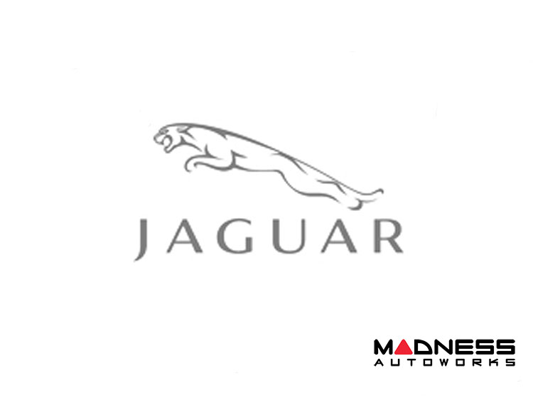 Jaguar F-TYPE WindRestrictor - Wind Deflector - For Factory Brackets