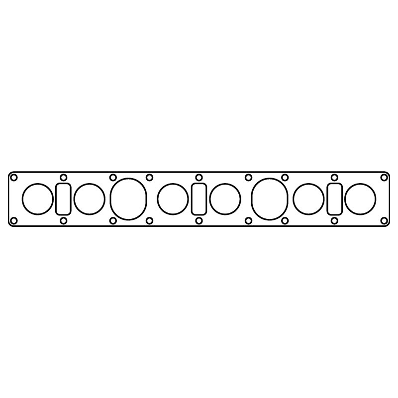 Jaguar XK - CG Intake Gaskets