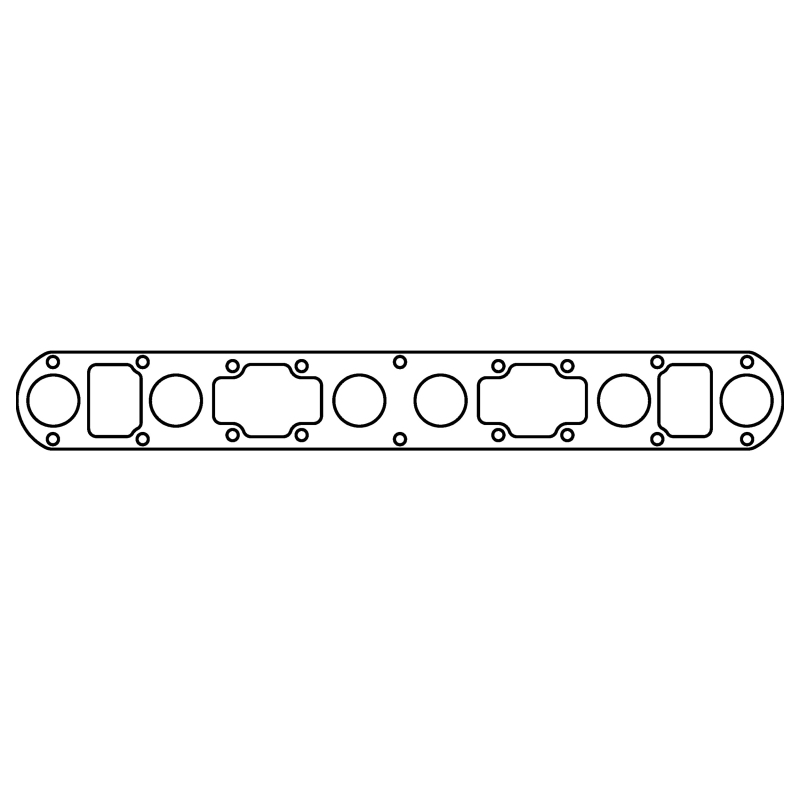 Jaguar XK - CG Intake Gaskets