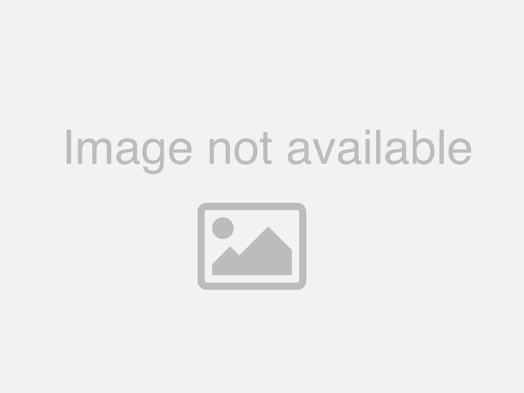 Jaguar XF Premium Coilover Suspension Kit - H&R - Sport Spring - `16-`19